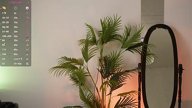 c shark online show from 27, 2, 2025