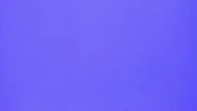 brenda sofia2 online show from 21, 11, 2025