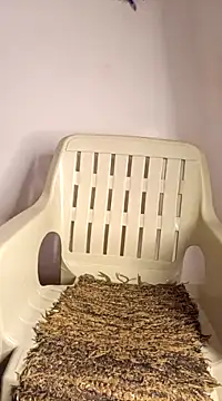 Jessicca Cum online show from 11, 3, 2025