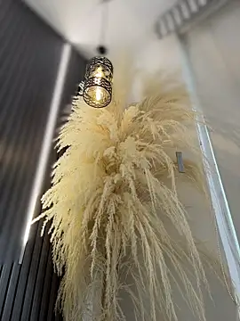 Rose-euphoria online show from 13, 2, 2026