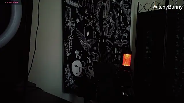 witchybunny online show from 11, 1, 2025