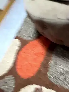 sknzy09 online show from 8, 1, 2026