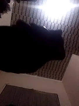 Blackpenis28 online show from 2, 5, 2026