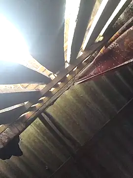 HotSexyBoudi online show from 7, 10, 2025