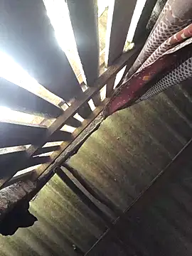 HotSexyBoudi online show from 28, 9, 2025