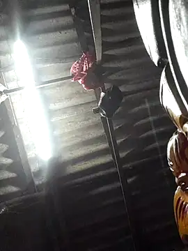 HotSexyBoudi online show from 12, 11, 2025