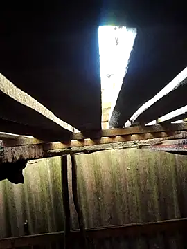 HotSexyBoudi online show from 29, 9, 2025