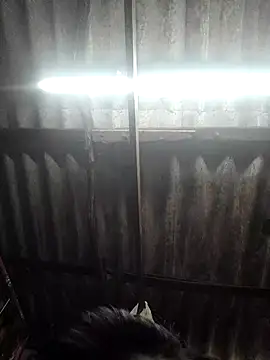 HotSexyBoudi online show from 26, 11, 2025