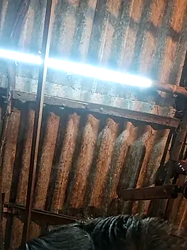 HotSexyBoudi online show from 15, 12, 2025