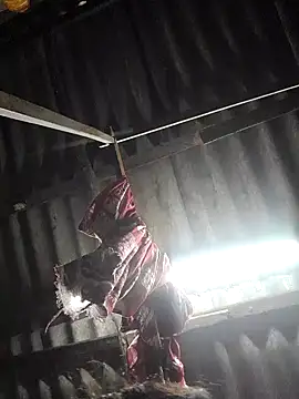 HotSexyBoudi online show from 29, 10, 2025