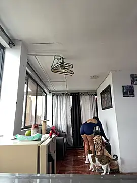 Kimmymadison- online show from 3, 3, 2026