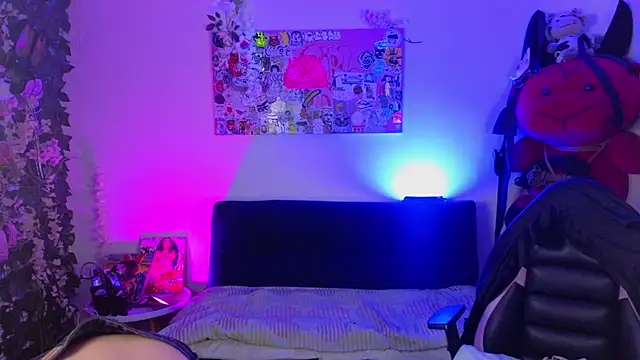 Dann dan online show from 11, 7, 2026