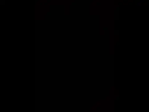 Porkocazzone online show from 23, 2, 2026