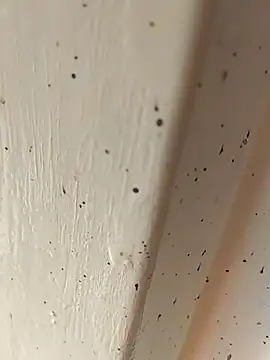 Camila erotica online show from 4, 4, 2026