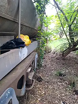 Petrossa online show from 12, 11, 2025