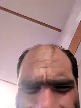 WilldoPita online show from 5, 10, 2025