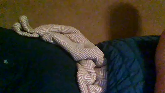 trash4cash online show from 31, 10, 2025