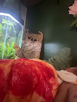 trash4cash online show from 7, 3, 2025