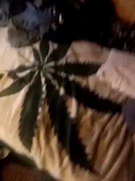 ySqmbVanbe online show from 10, 10, 2025