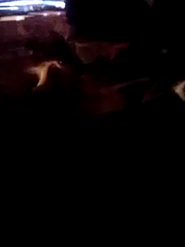 ySqmbVanbe online show from 2, 3, 2026