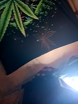 ySqmbVanbe online show from 9, 2, 2026