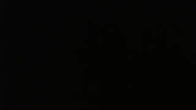 gauchinhaG online show from 5, 10, 2025