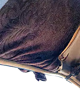 FloppyPickle4u online show from 19, 1, 2026