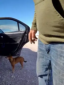 FloppyPickle4u online show from 3, 3, 2025