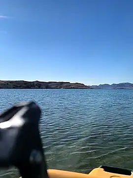 FloppyPickle4u online show from 8, 3, 2026