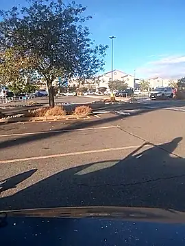 FloppyPickle4u online show from 9, 9, 2025