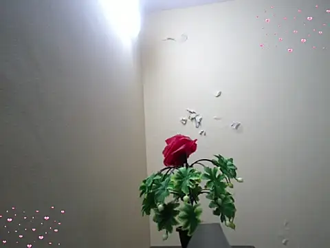 Arushisingh8888 online show from 18, 12, 2025