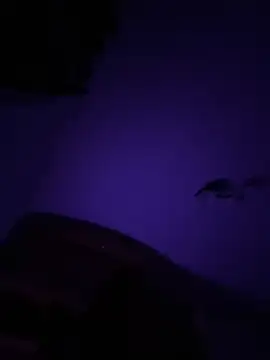 Micky  love online show from 12, 10, 2025