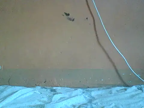 Naivegirrl online show from 1, 2, 2026