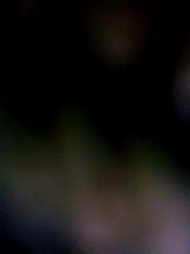 BlackVBarbie online show from 29, 5, 2026
