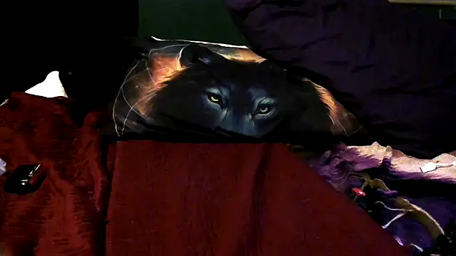 wolfgirl97 online show from 4, 12, 2025