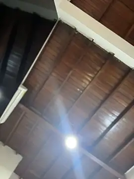 emiss  online show from 14, 1, 2026