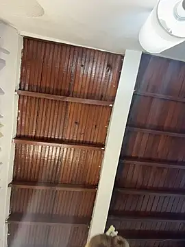 emiss  online show from 31, 3, 2026