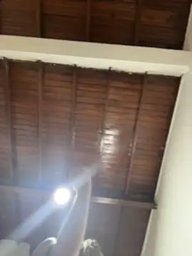 emiss  online show from 16, 12, 2025