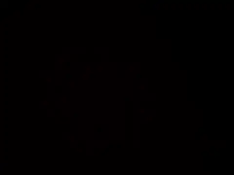 gerracer online show from 24, 9, 2025