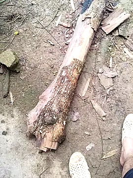 idocudai online show from 23, 2, 2026