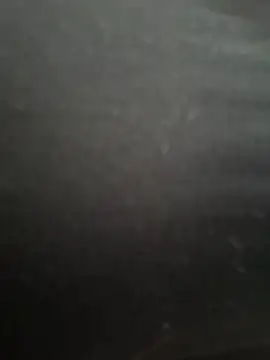 PaulinaDuarte online show from 19, 12, 2025