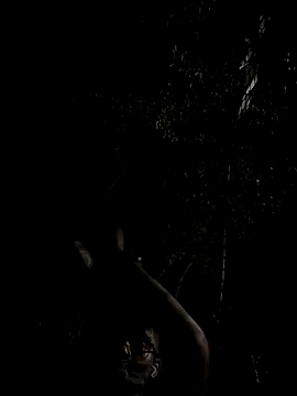 mumuowl online show from 20, 9, 2025