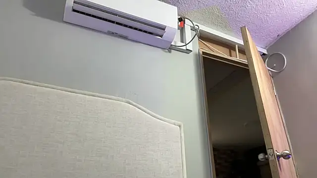 dominic brandd23 online show from 15, 11, 2025