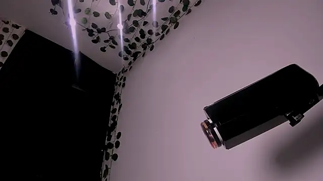 Young laroi online show from 19, 2, 2025