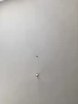 MuscleBoyy777 online show from 20, 3, 2025