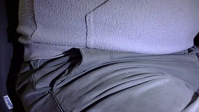 Snapshot of by-panic chatting on 15, 1, 2026 by-panic online show from 15, 1, 2026