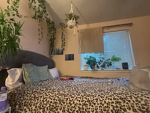 magicalc00ch online show from 22, 2, 2026