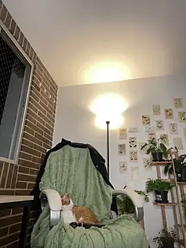 6nalanie online show from 14, 12, 2024