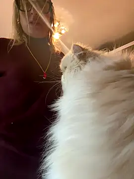 casalinga88 online show from 3, 11, 2025