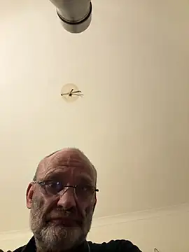 Snapshot of ShyDave81 chatting on 8, 7, 2026 ShyDave81 online show from 8, 7, 2026